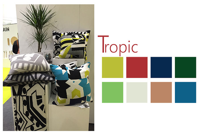 Tropic-3rd-image-copy